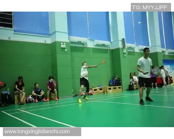 王丽专访：羽毛球之路的辉煌与挑战回顾