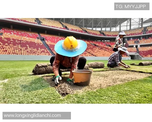 重庆足球队的运营成败分析与未来发展方向探讨